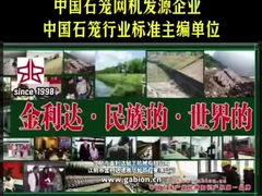 ギャビオン産業をリードする:ジンリダ - 国産からグローバルへ