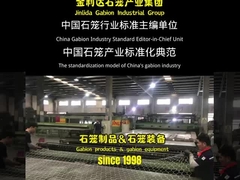 中国のガビオン産業の標準設定者 独創性 遺産品質モデル