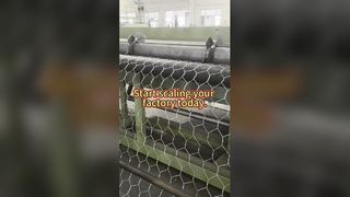 JINLIDA 蛇籠マシン: 生産量を向上させ、工場を拡張しましょう!